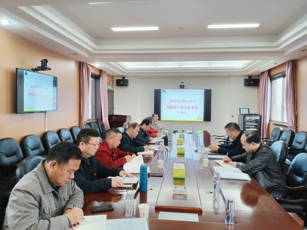 88858cc永利官网常德公司召开2022年度党委班子民主生活会