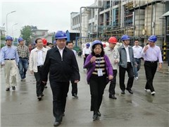 省委常委、常务副省长陈肇雄视察88858cc永利官网常德公司